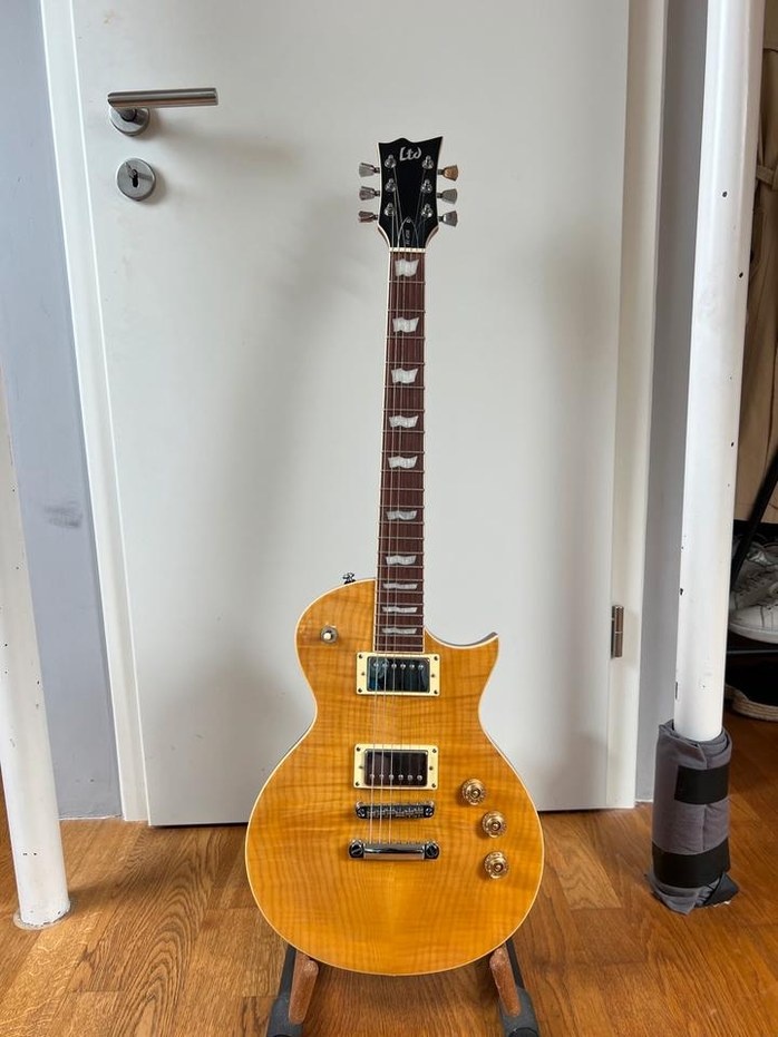 Kytara ESP LTD EC-256 FM + kufr