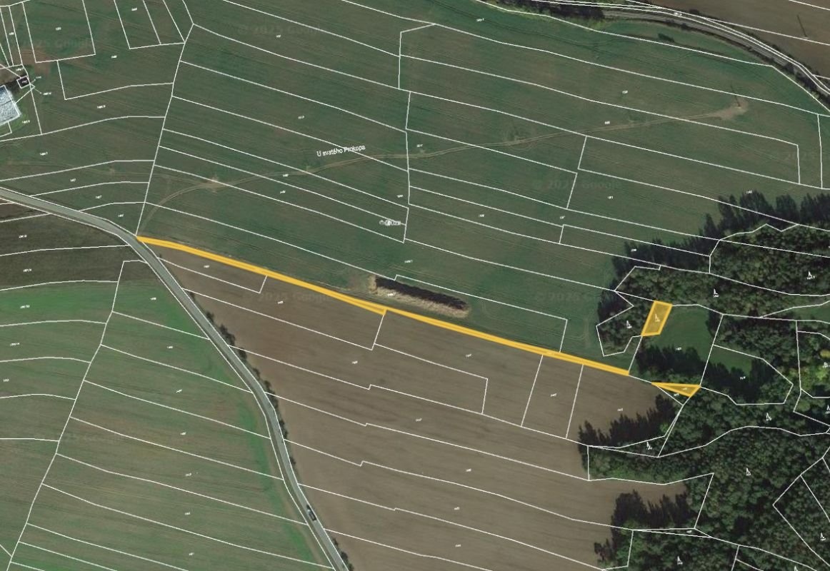 Prodej podílu 1/2 lesa 464 m², Mladotice