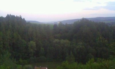 Prodej lesa