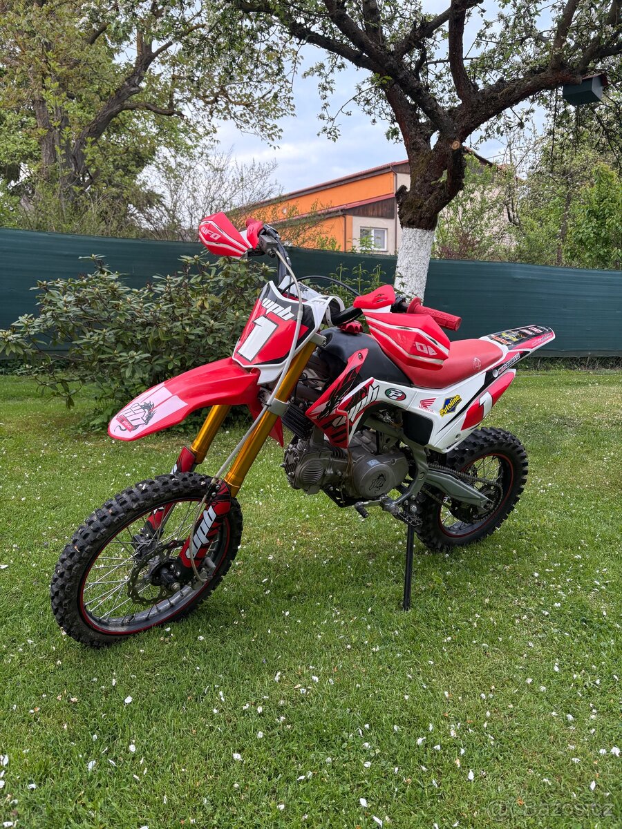 Pitbike Stomp WPB 140 RACE