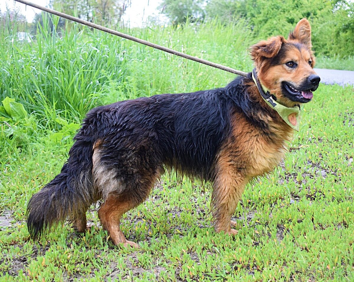 IGOR K ADOPCI- 2 ROKY, MILÝ,KONTAKTNÍ, VDĚČNÝ