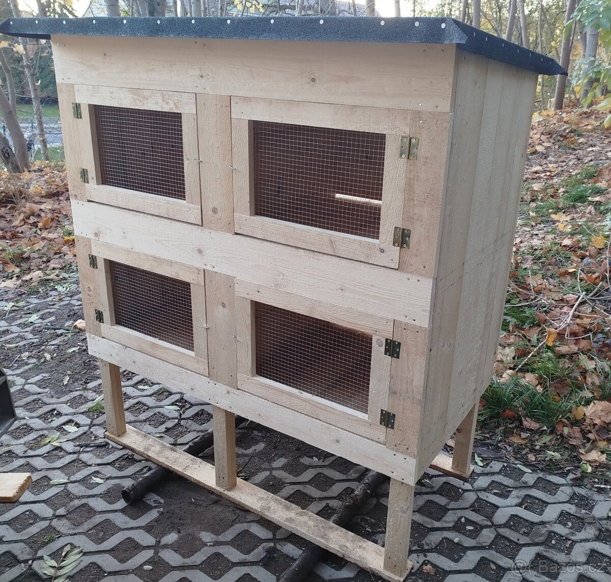 Králikarna čtyřkotcová