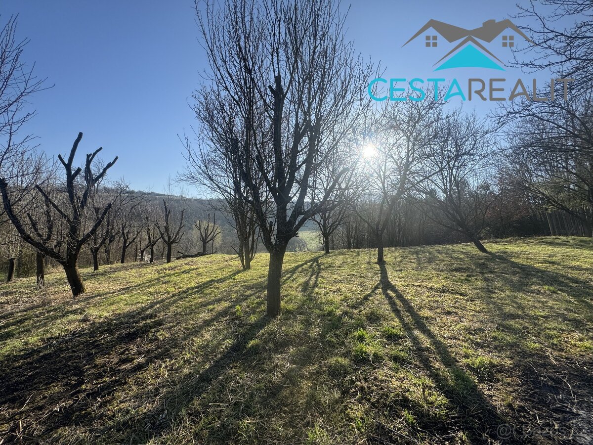 Prodej stavebního pozemku, 4380 m2 - Suchov, ev.č. 01043