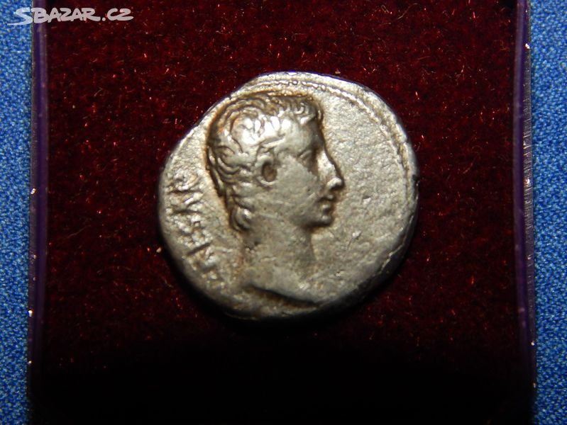 Mince Augustus
