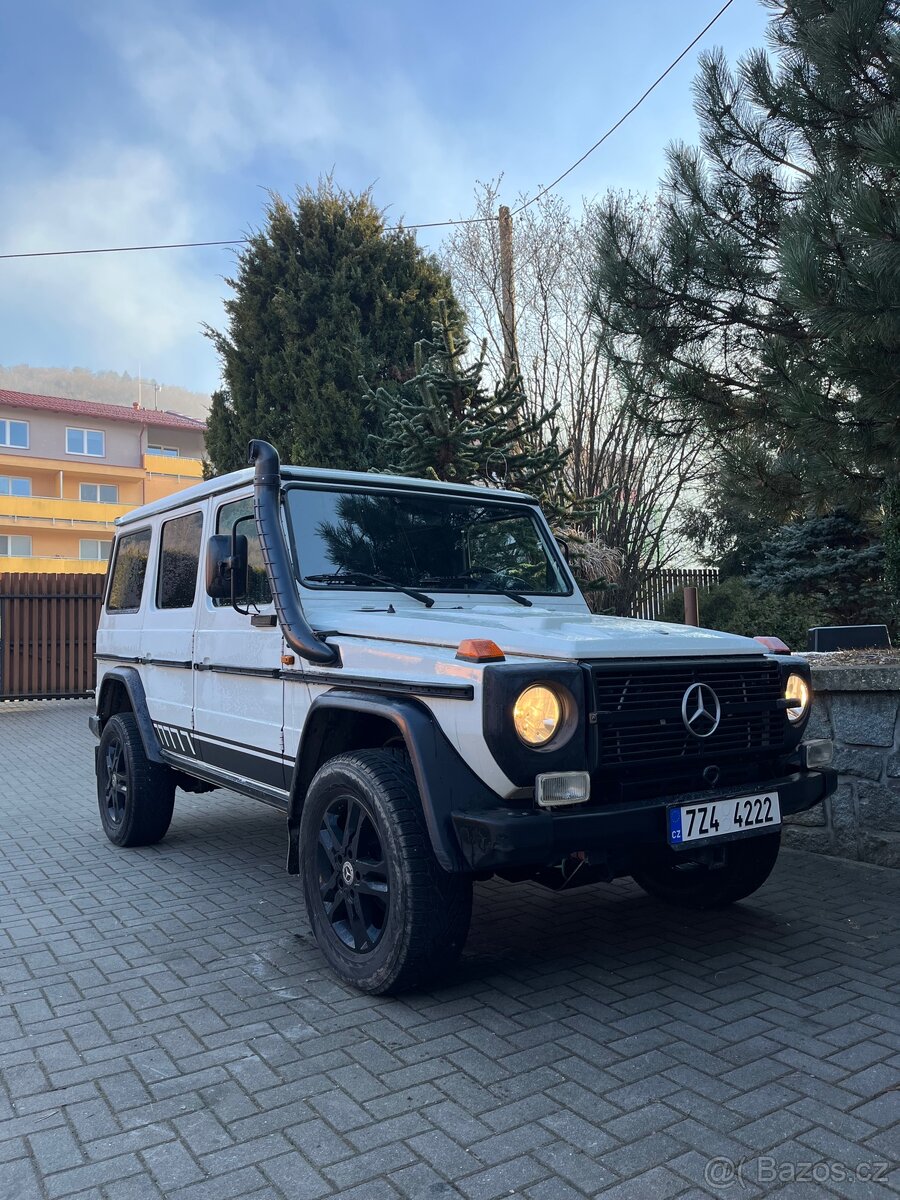 Mercedes Benz G 300 cdi Professional