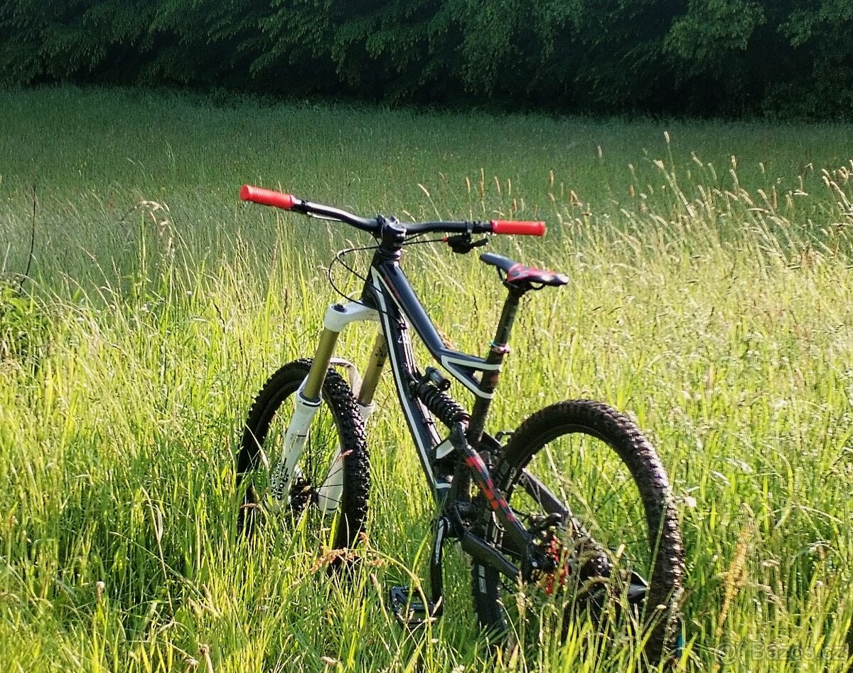 Specialized status 1