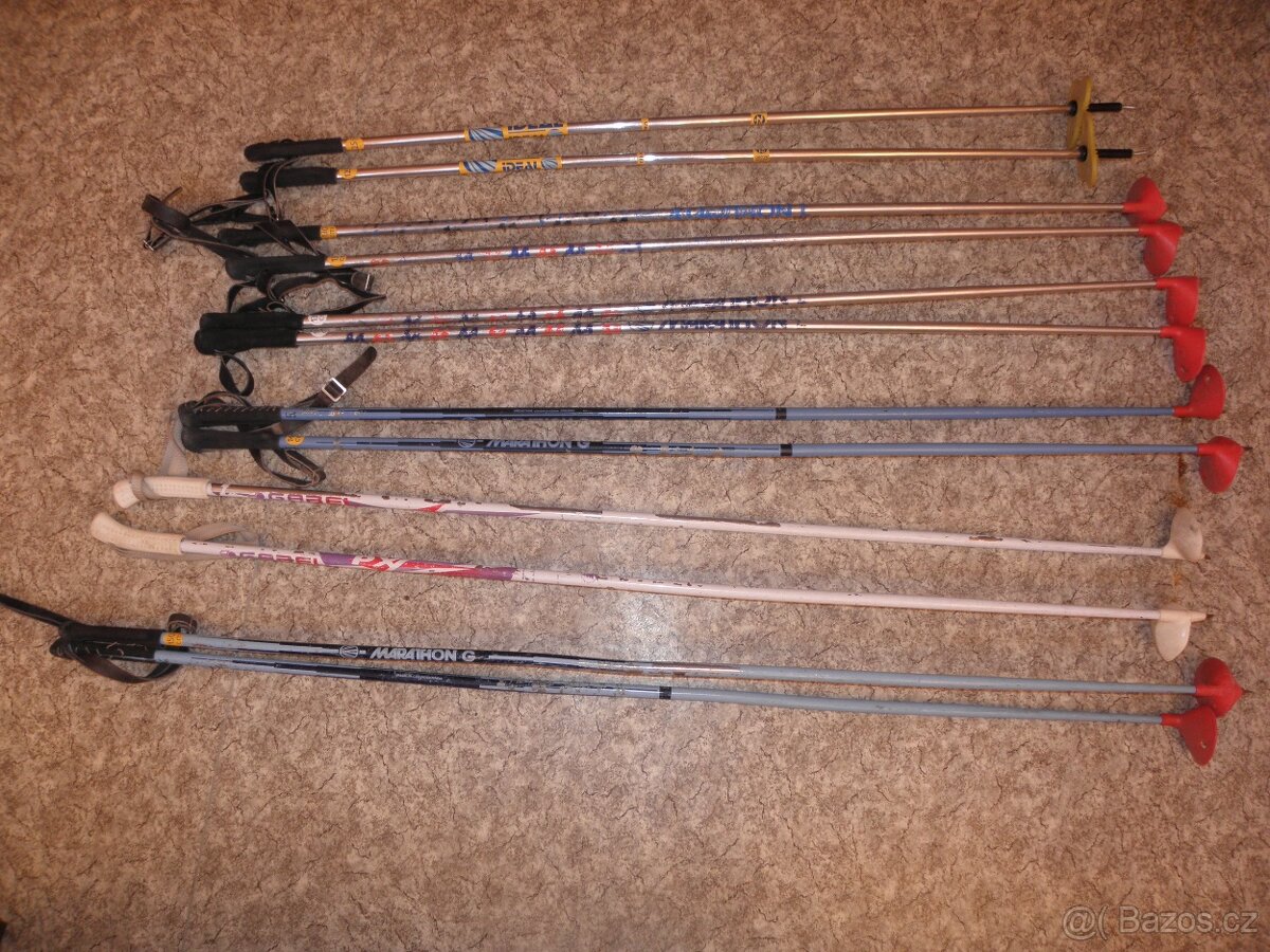 Běžky - hůlky na běžky 1