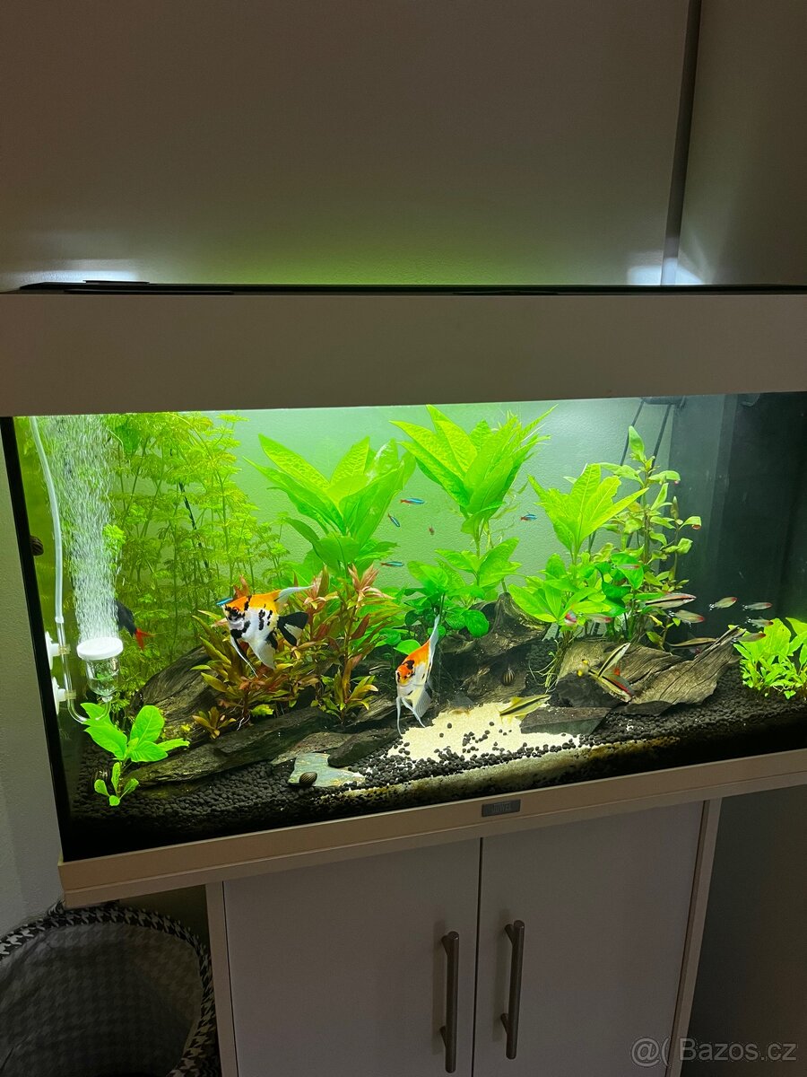 Akvárium juwel rio 125