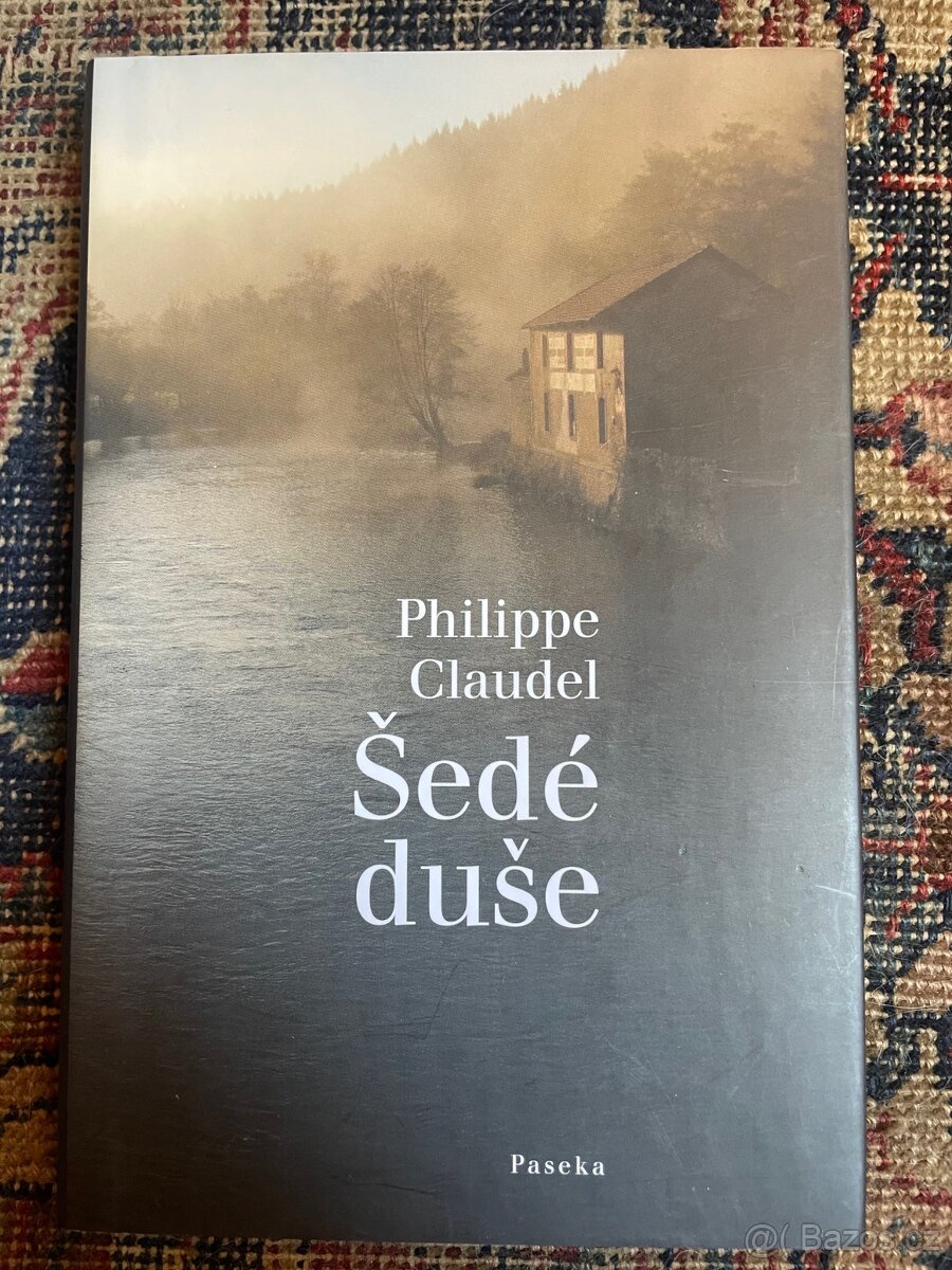 Šedé duše - Philippe Claudel