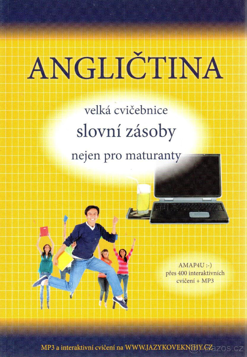 Angličtina : velká cvičebnice slovní zásoby pro maturanty