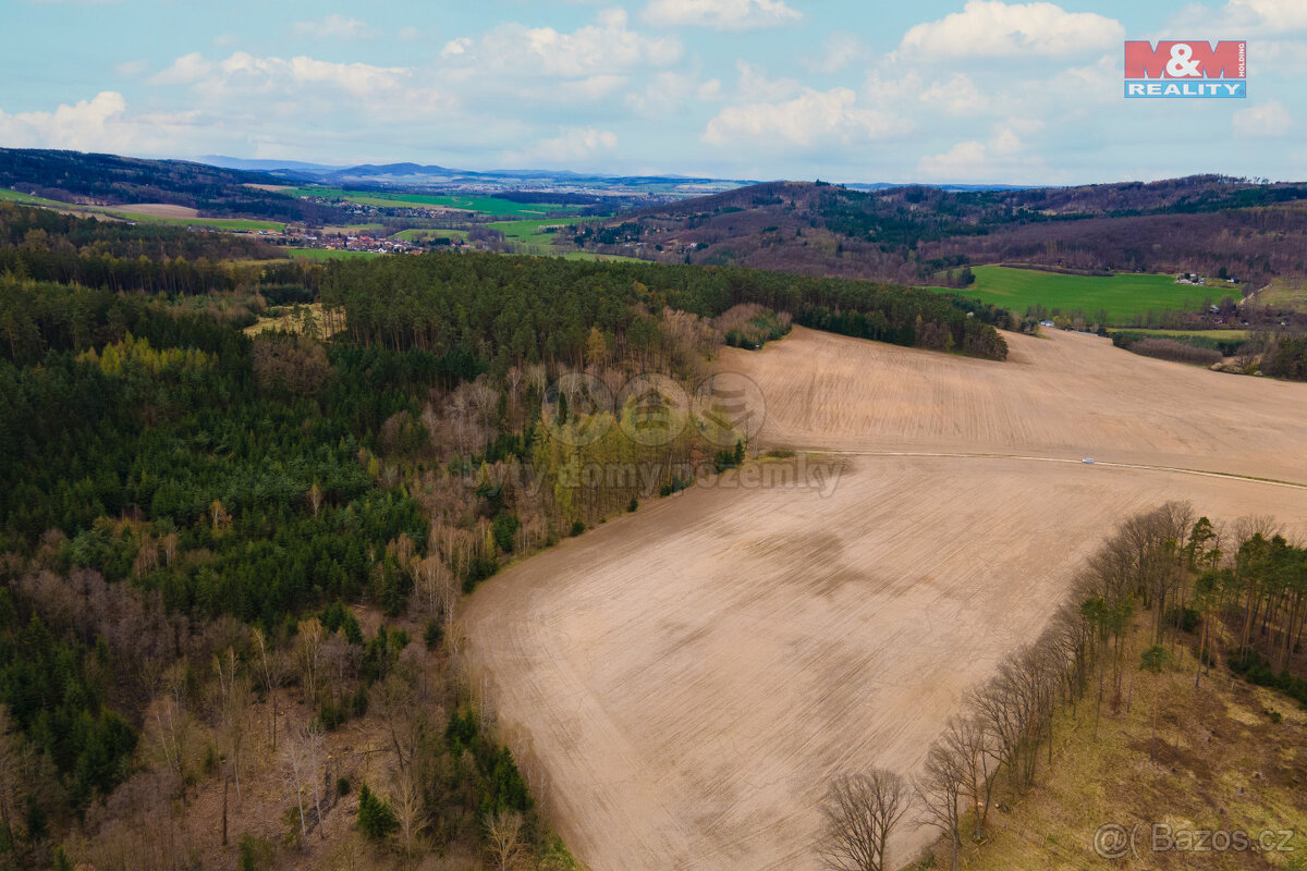 Prodej pole, 5839 m², Předenice