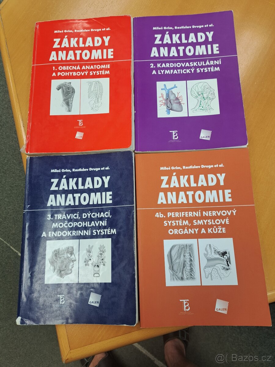 Základy anatomie, 4 kusy