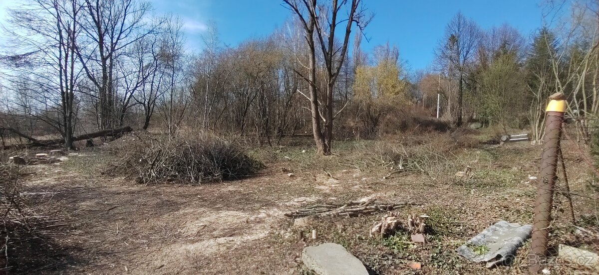 Daruji za odvoz větve ke štěpkování