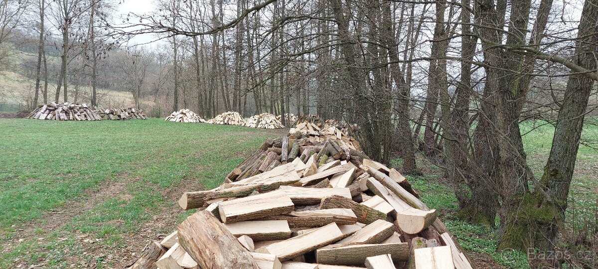 Prodám suché tvrdé dřevo na topení
