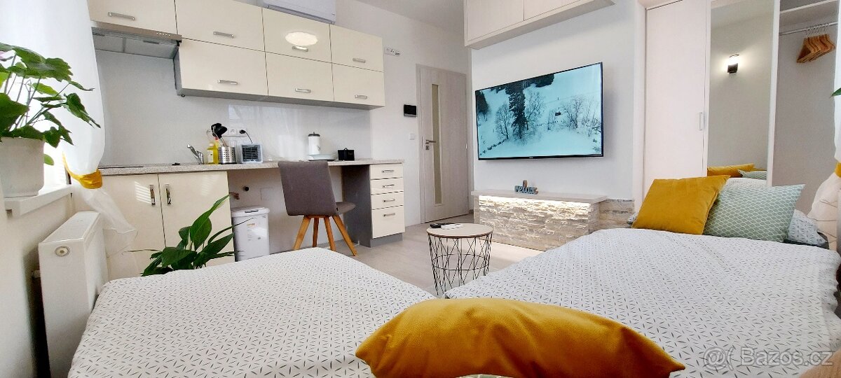 Pronajmu krásný byt 1kk v Berouně