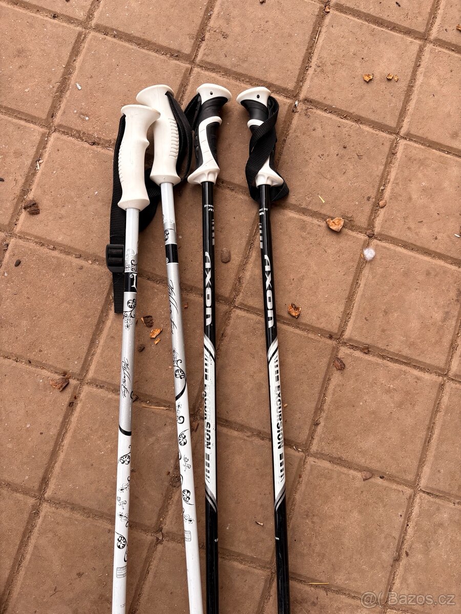 Lyžařské hole/ hůlky