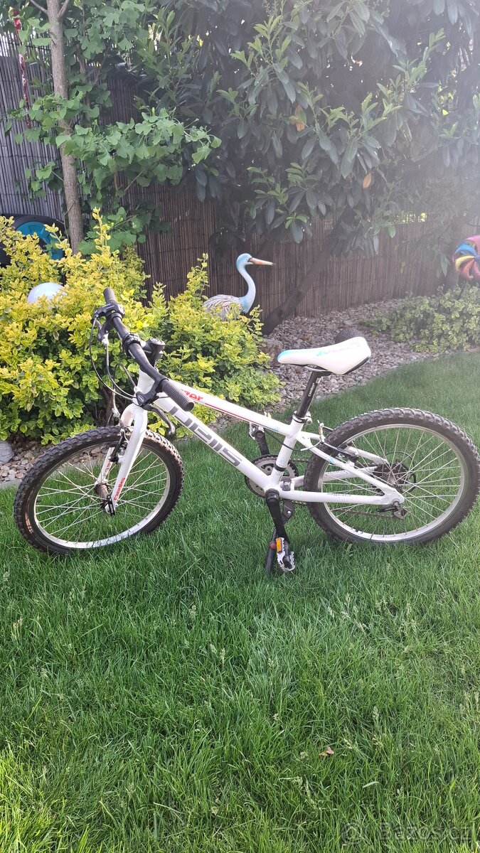 Kolo Pells 20