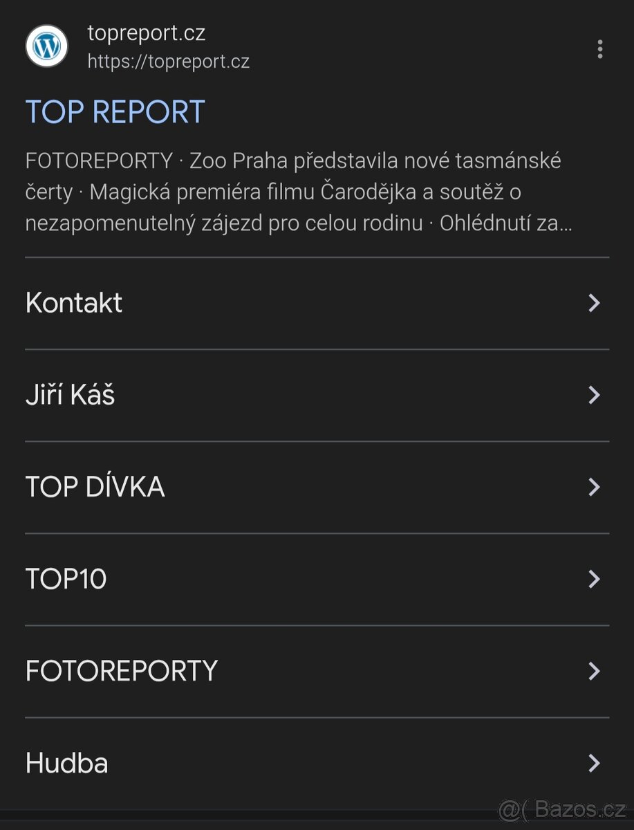 Pronájem reklamního baneru na Top Reportu