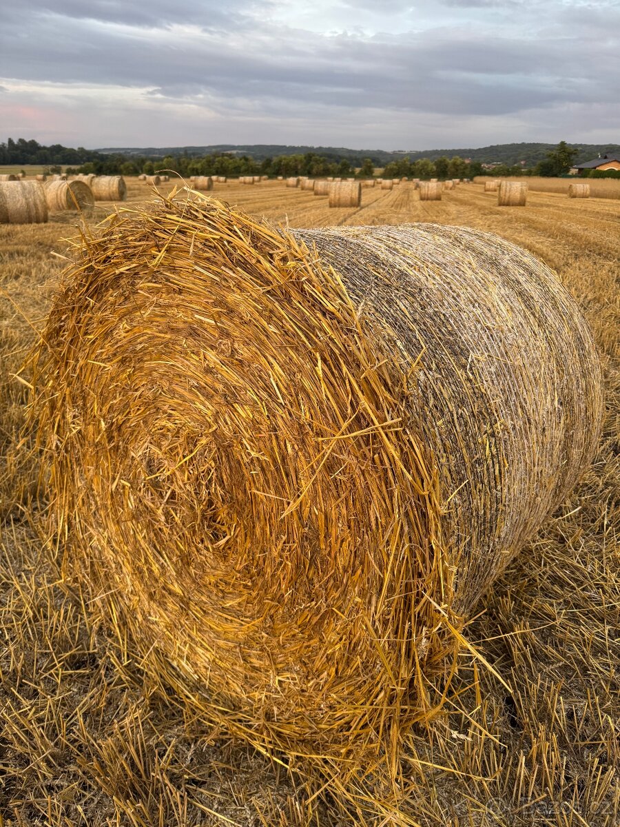 Sláma balíky