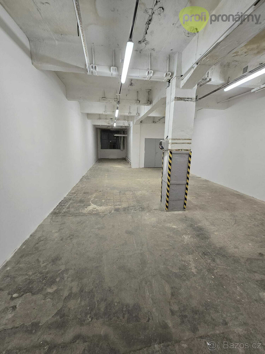 Pronájem skladového prostoru 100 m²