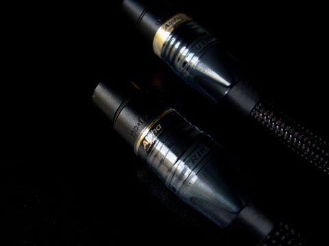 C4Y Alphα™ “Limited Edition“