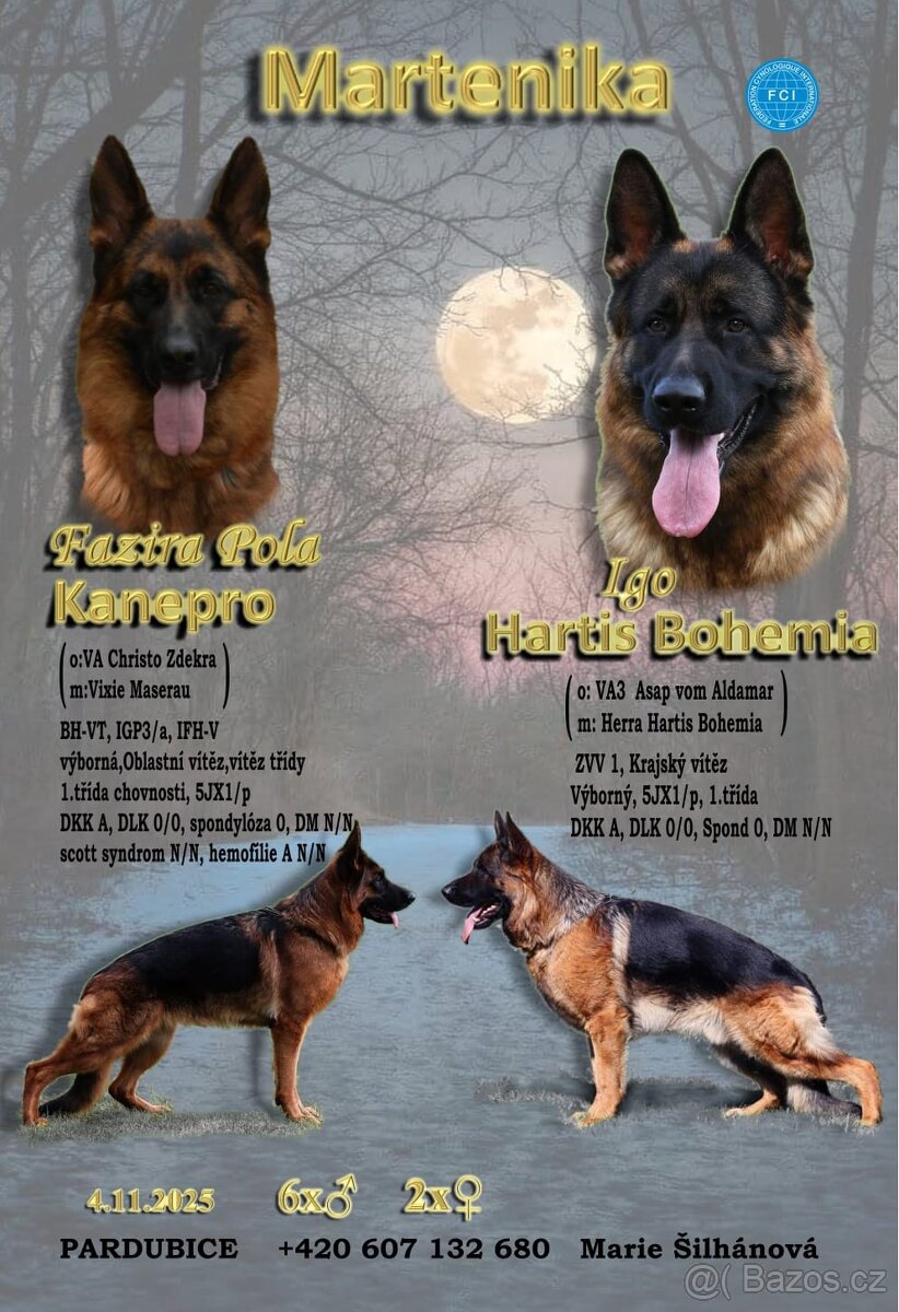 Německý Ovčák, Štěňata s PP exteriérová linie