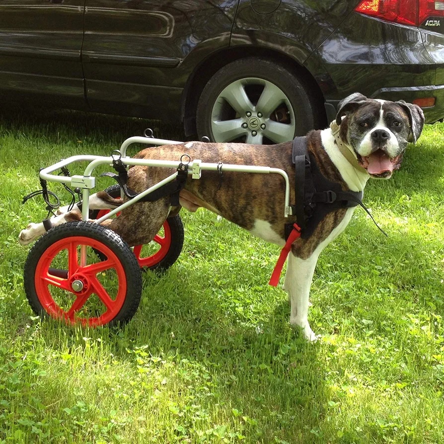 Nový invalidní vozík pro pejsky velikost L -XL