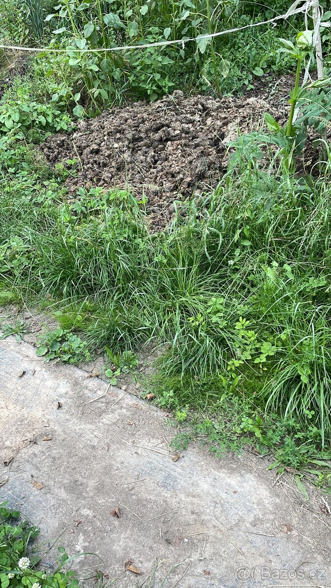 Levne konsky hnůj, větší množství.