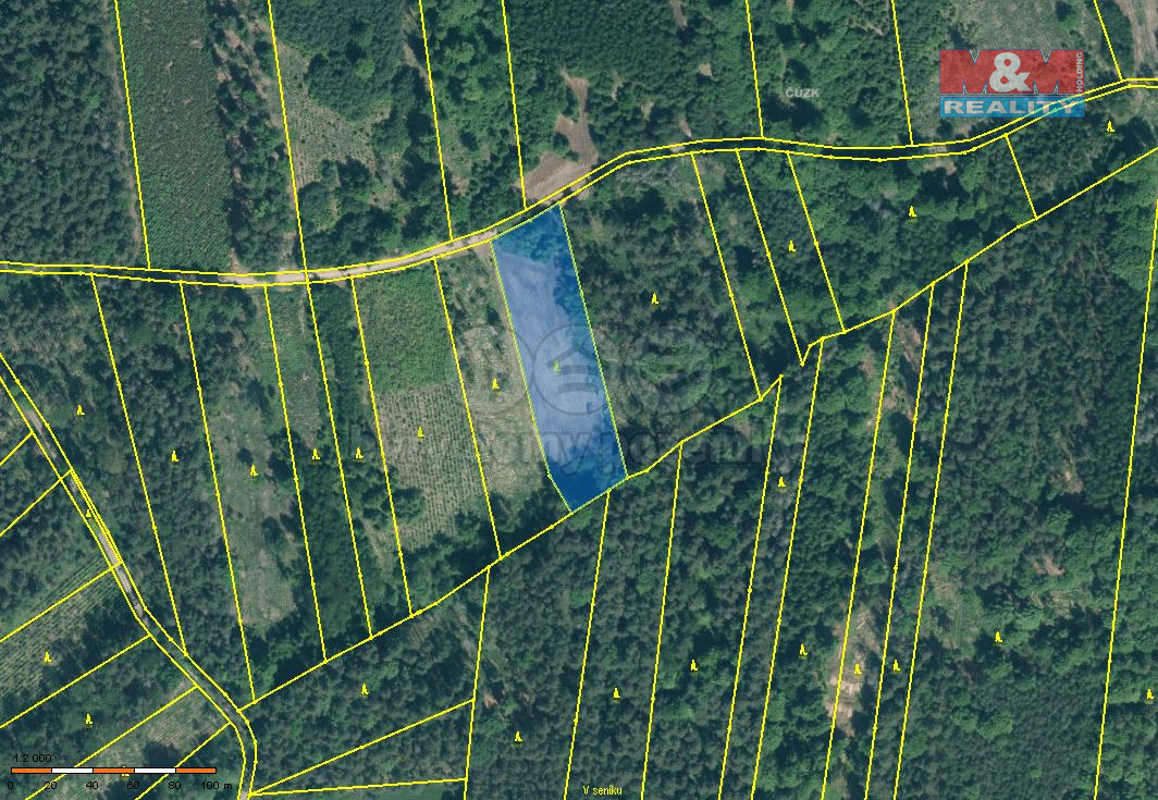 Prodej lesa, 5033 m², Jetětice