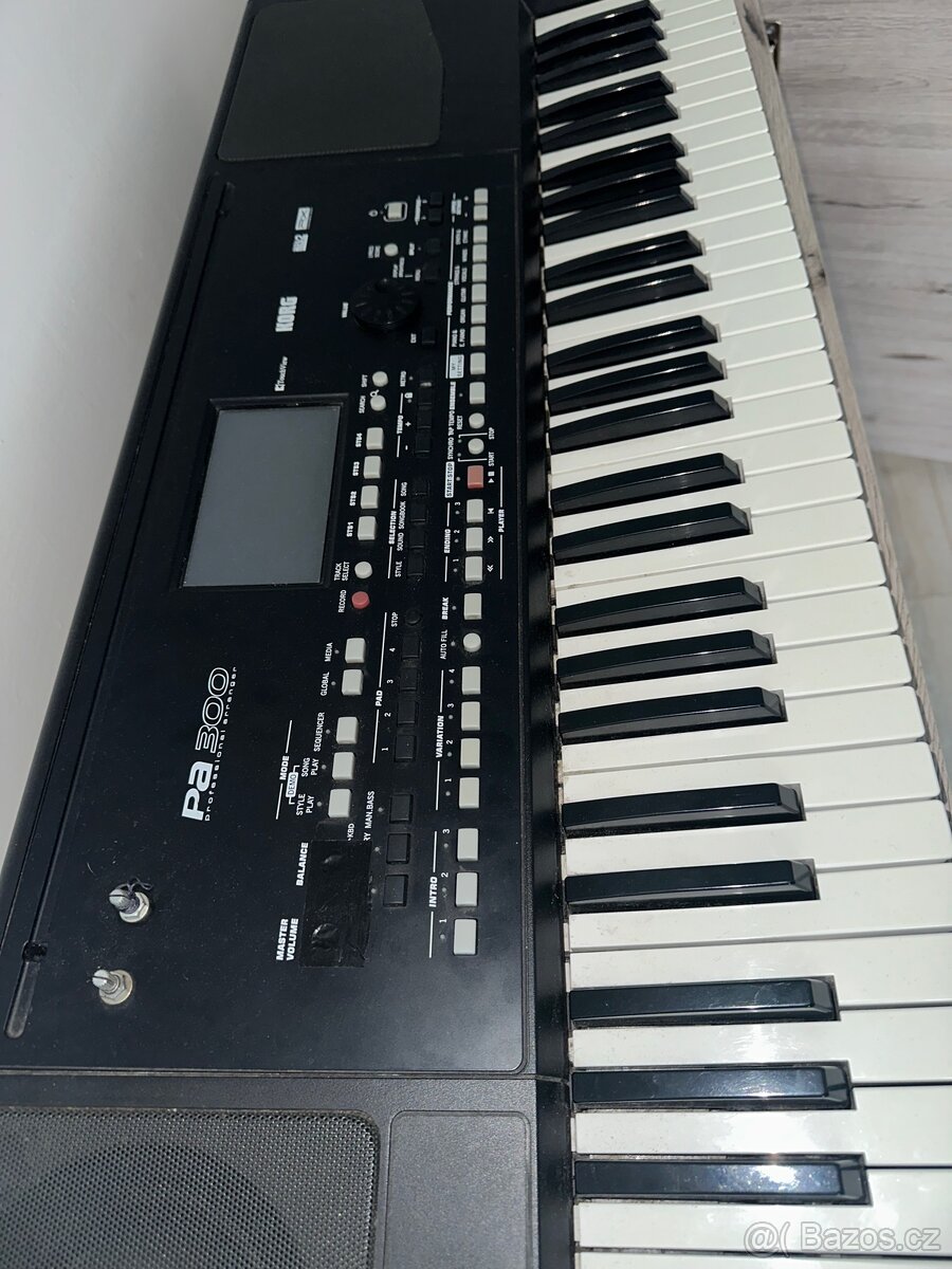 Korg pa300