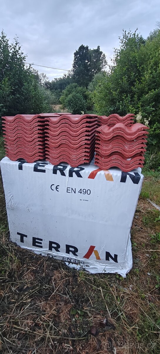 Terran Synus Evo korall