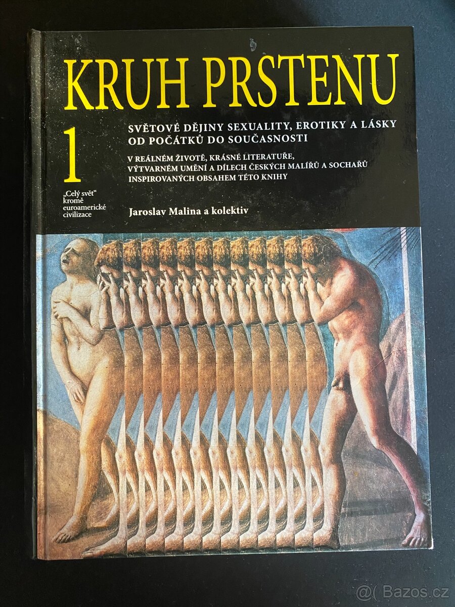 Kruh prstenu – 1. díl - Jaroslav Malina
