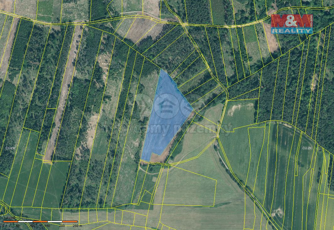 Prodej lesa, 32445 m², Jetětice
