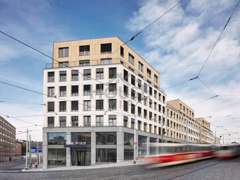 Pronájem sdíleného apartmánu 1+kk,17 m2, Praha 7 - Holešovic