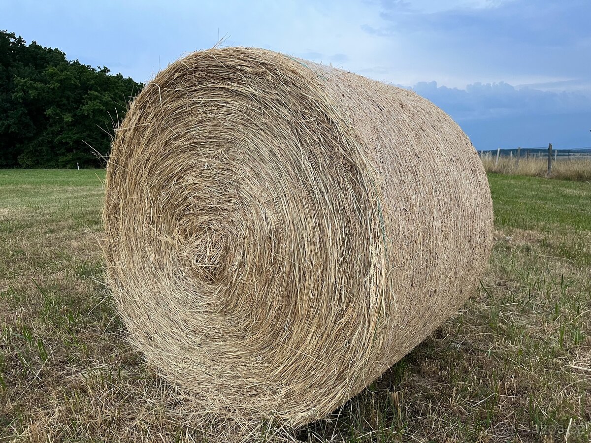 Prodám seno