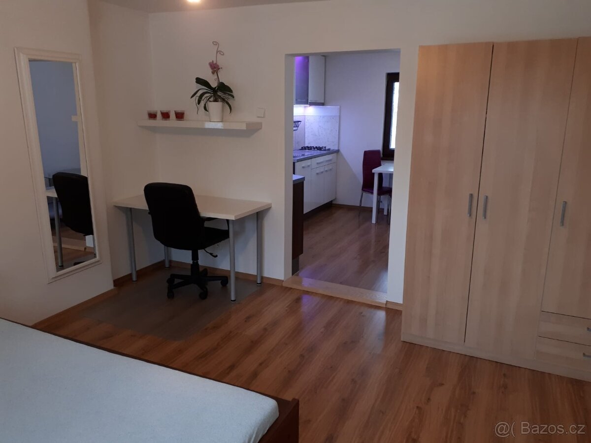 Pronajem Bytu v RD Lhotka