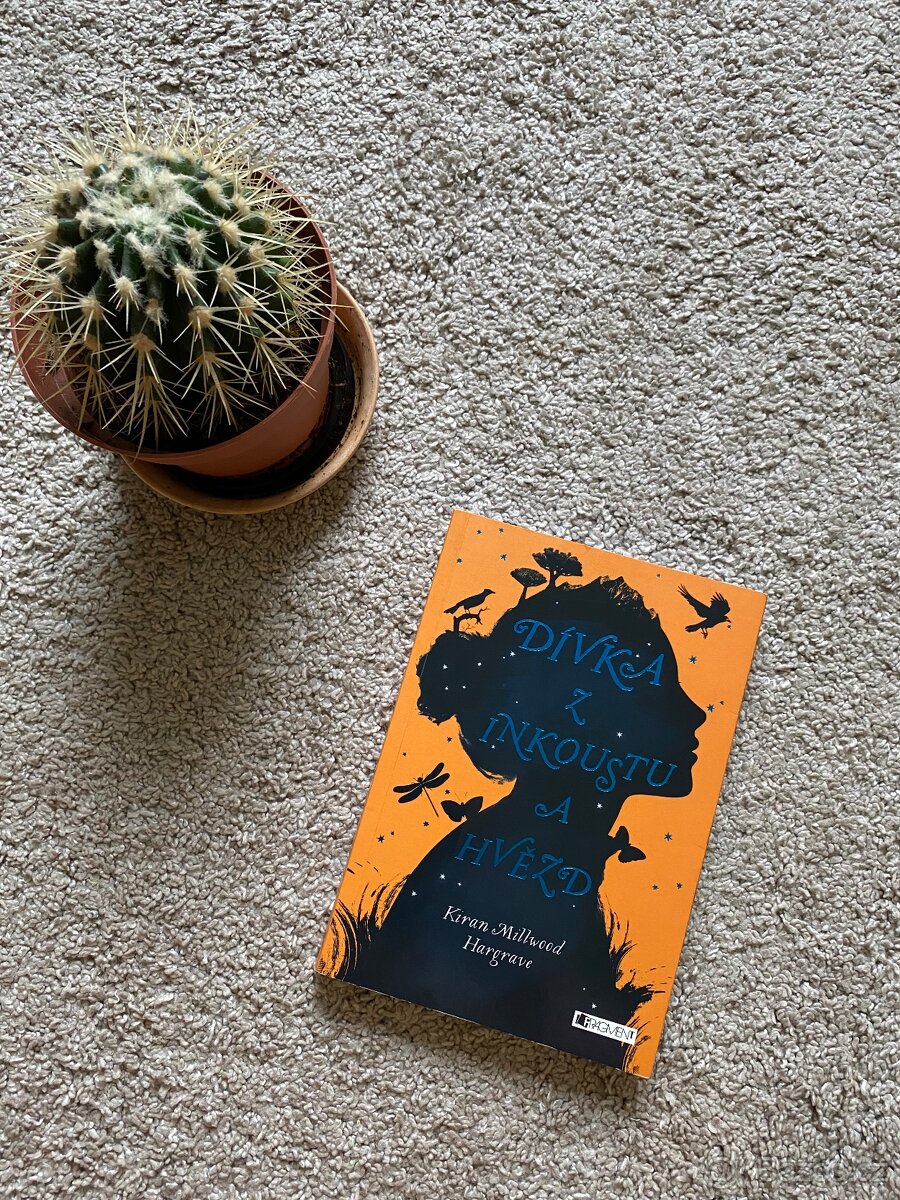 Dívka z inkoustu a hvězd