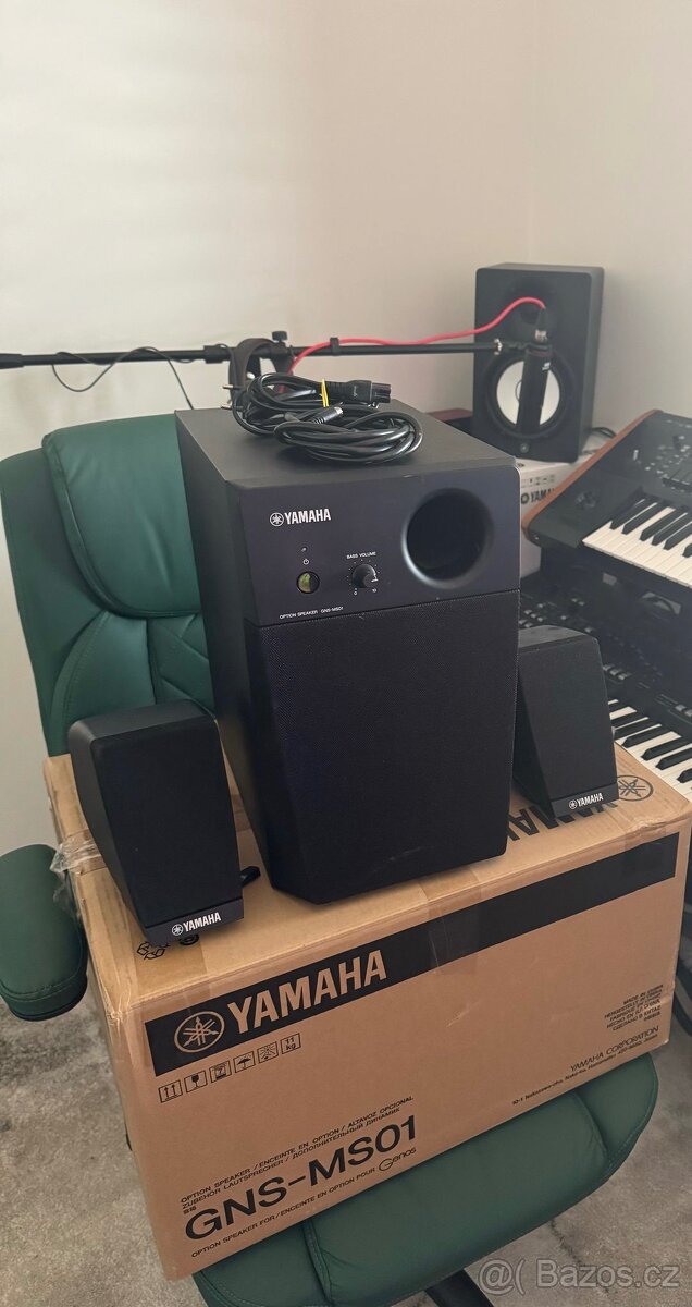 Ozvučení Yamaha GNS-MS01