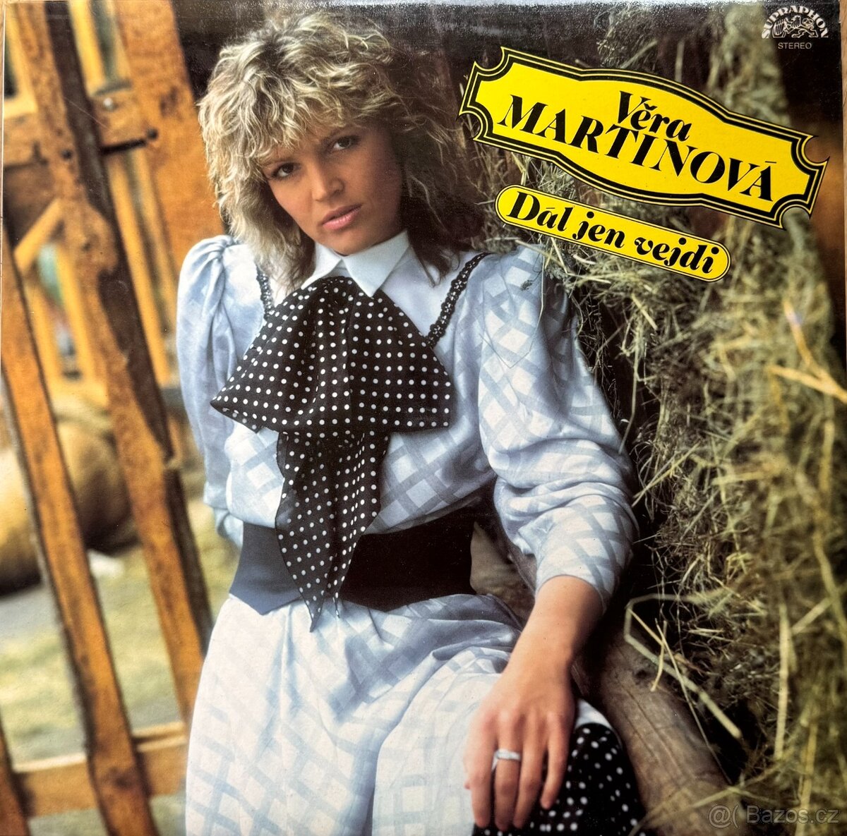 LP Věra Martinová - Dál jen vejdi...