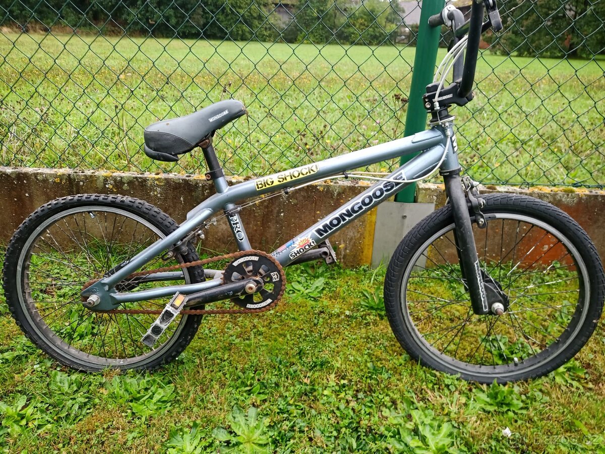 Kolo Mongoose
