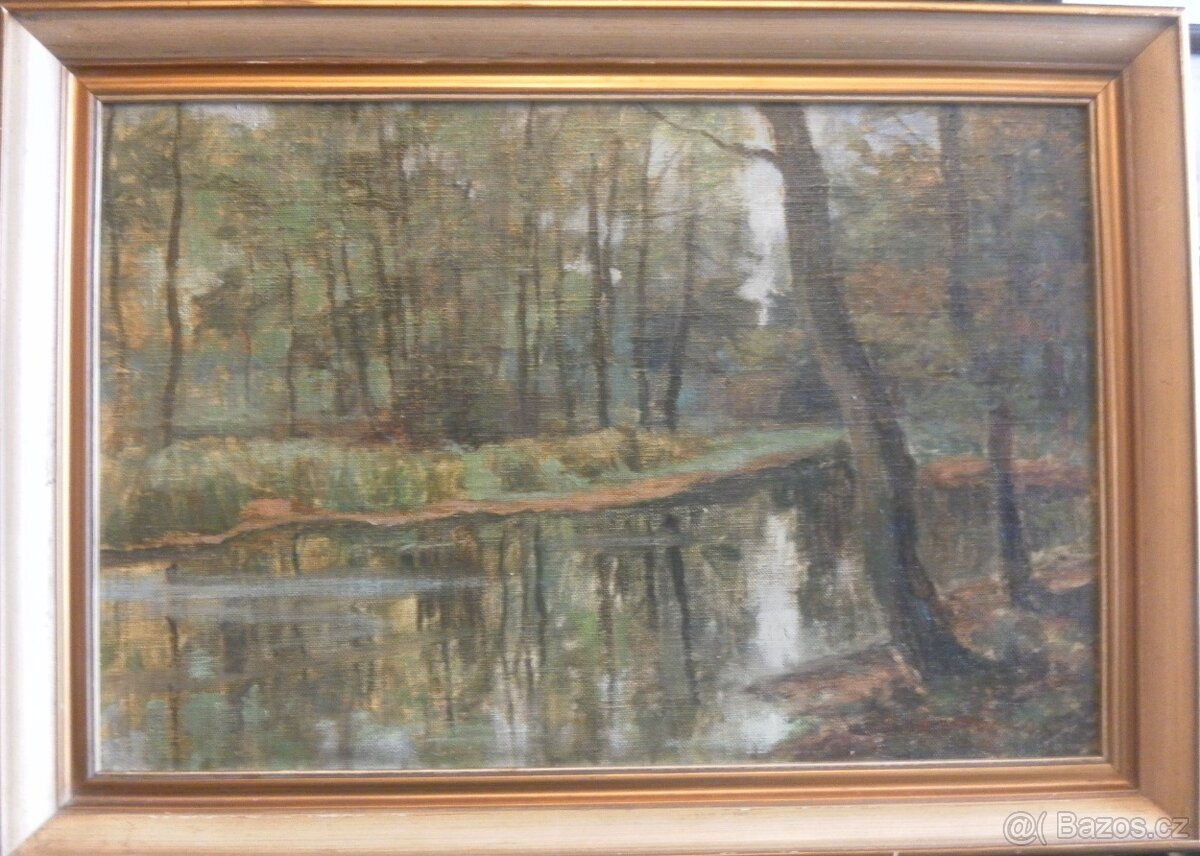 Frant. Patočka - Lesní tůň.