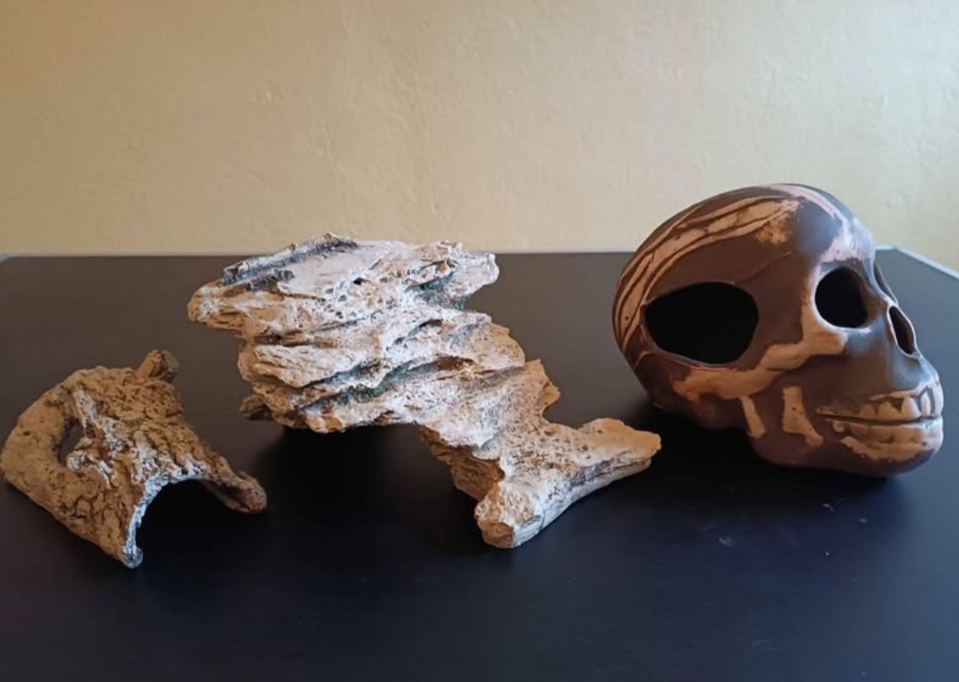 Dekorace do akvária) terária