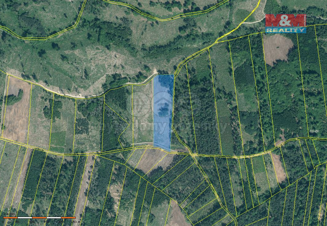Prodej lesa, 31810 m², Jetětice