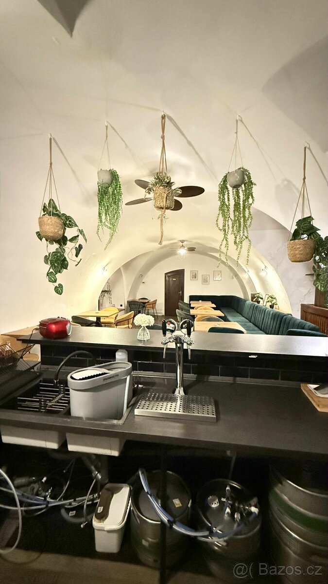 Rozjetý koncept BURGER BARU – podnikání na klíč 🍔