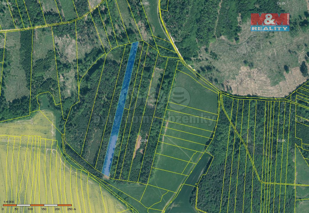 Prodej lesa, 12669 m², Jetětice