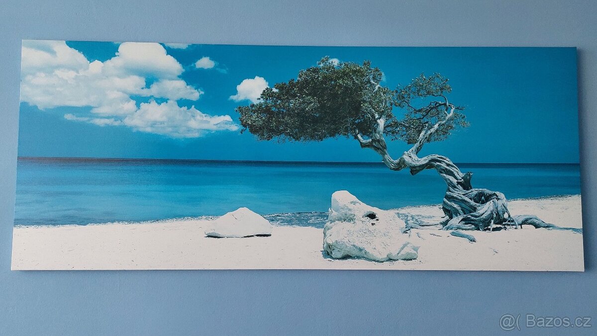 Velký panoramatický obraz Ikea - plátno 140x56 cm