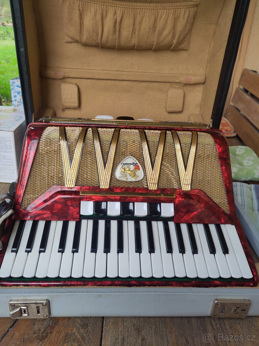 Akordeon Delicia Melodia VIII