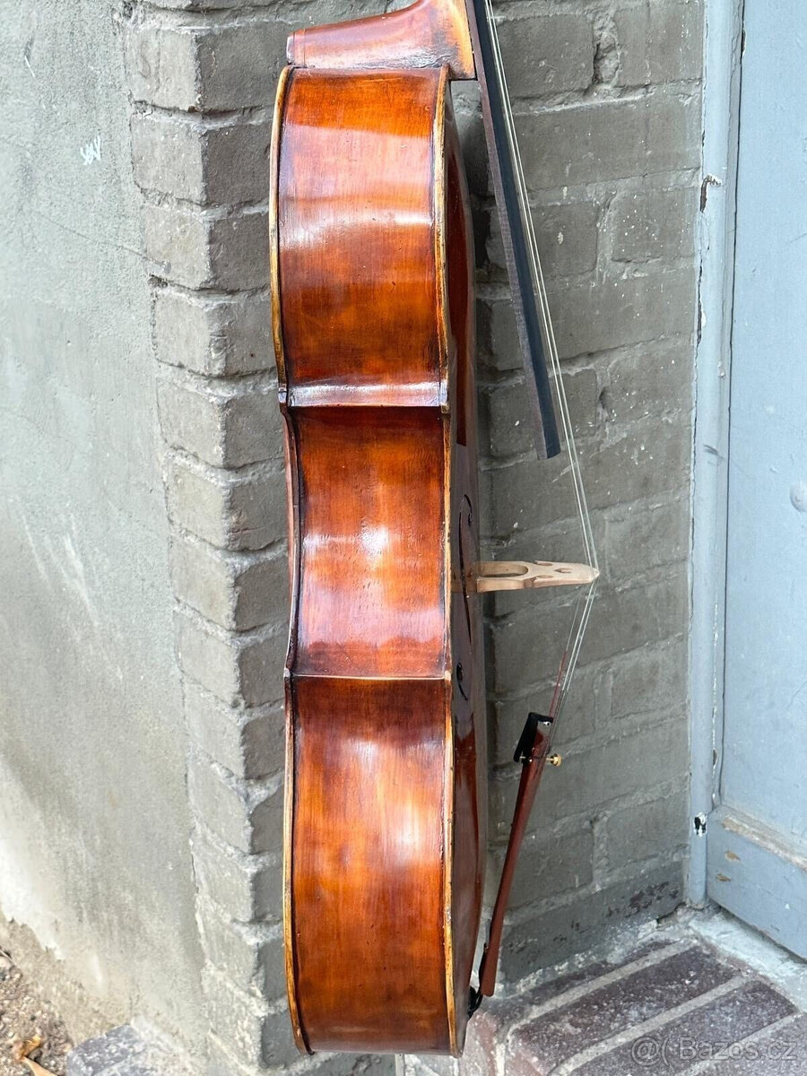 Fine Cello 44 Violoncello s etiketou Iacobus P. Gordanus 177