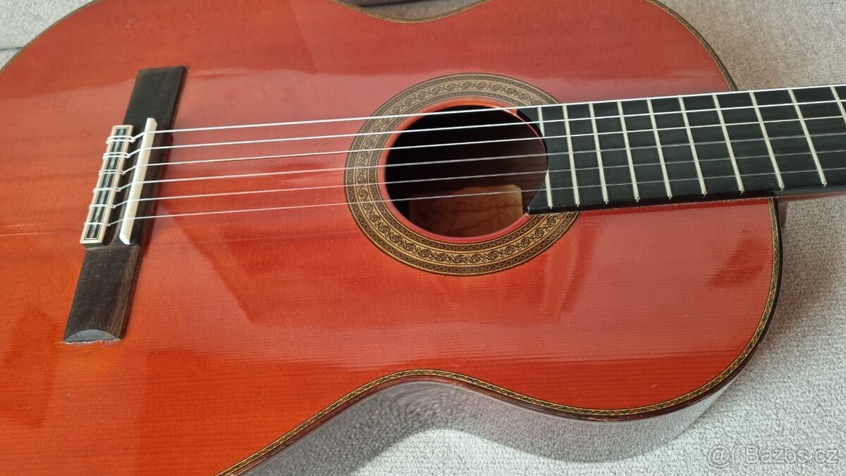 Mistrovská kytara Hugo Schneider