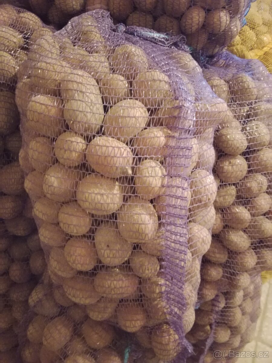 Prodám brambory